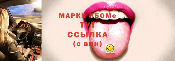 индика Аркадак