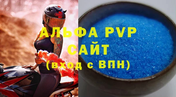 индика Аркадак